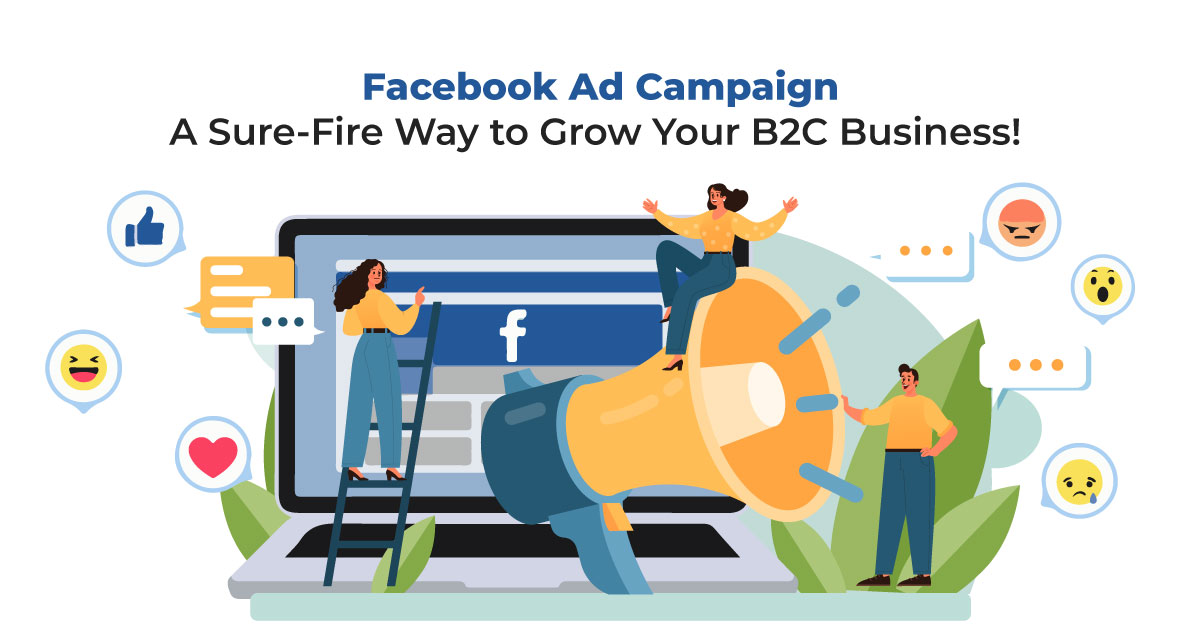 Facebook Ad Campaign – A Sure Fire Way to Grow Your B2C Business!